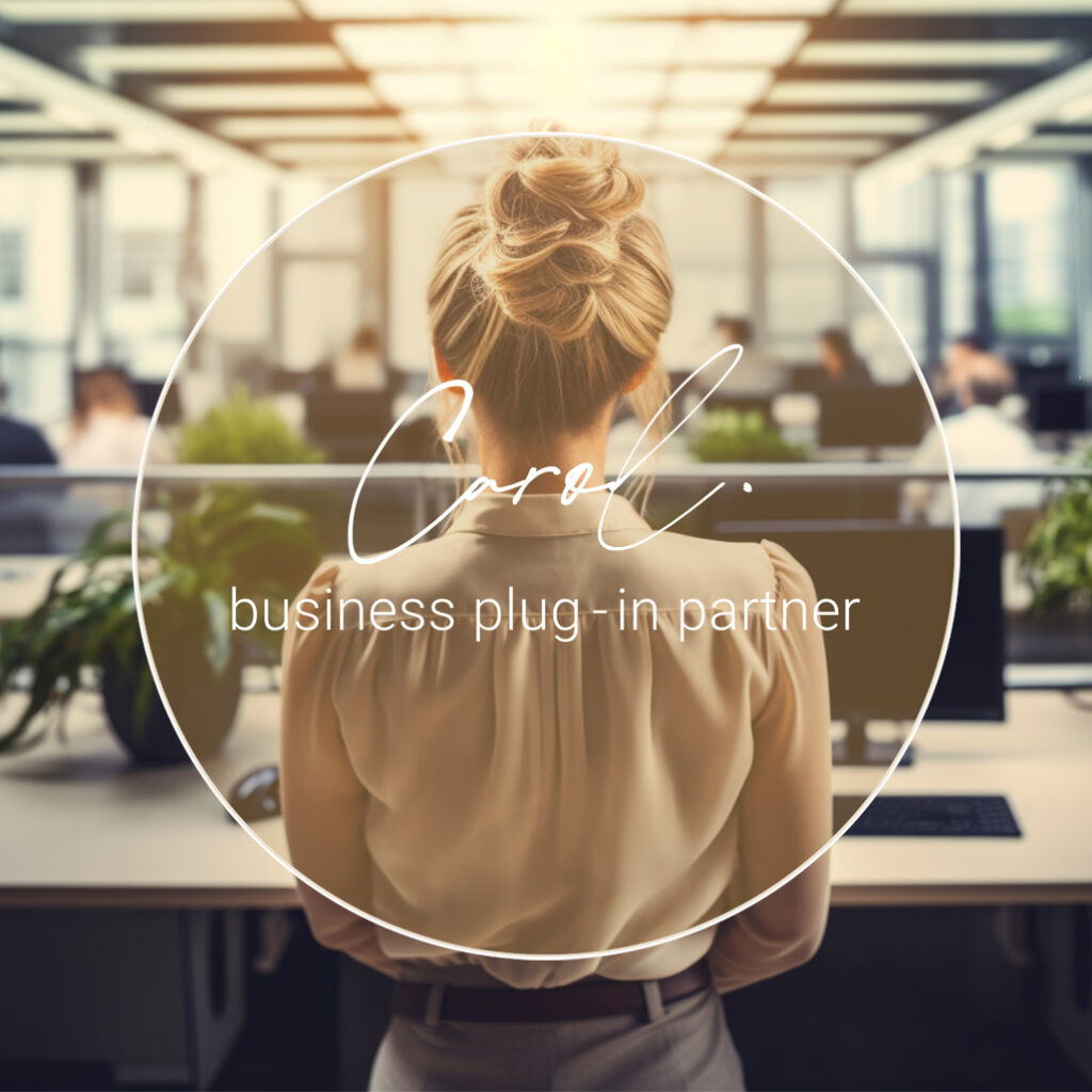 de betrouwbare plug-in partner